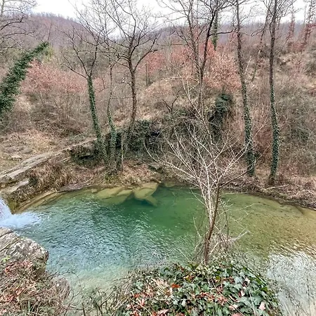 Vakantiehuis Riccio Morleschio